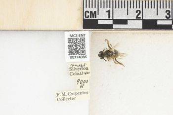 Media type: image;   Entomology 774086 Aspect: Labels